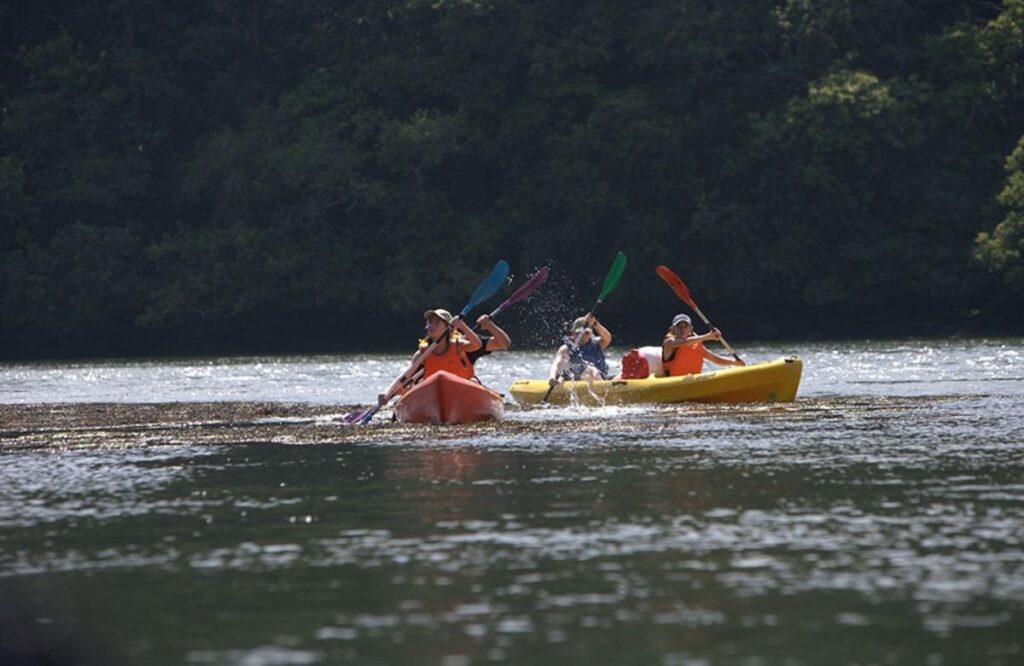 Brittany: Kayaking on the Odet River